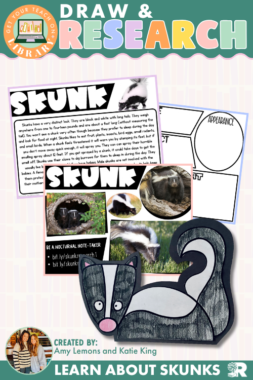 Skunk Research & Directed Drawing Activity | Nocturnal Animals