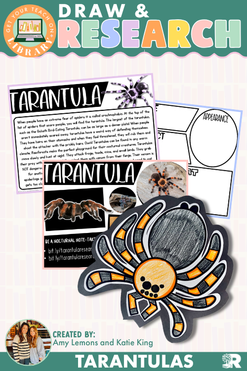 Tarantula Research & Directed Drawing Activity | Spider Research