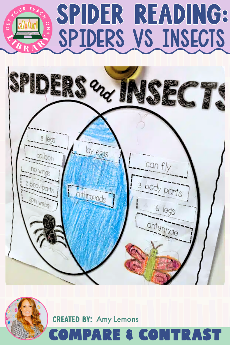 Spiders vs. Insects Compare and Contrast Activity