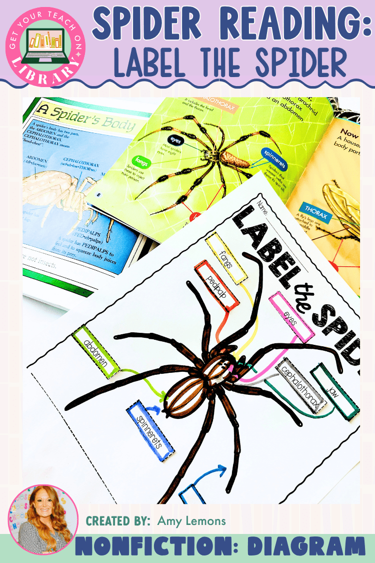 Label the Spider | Spider Body Parts Diagram - Shop GYTO - Get Your Teach On