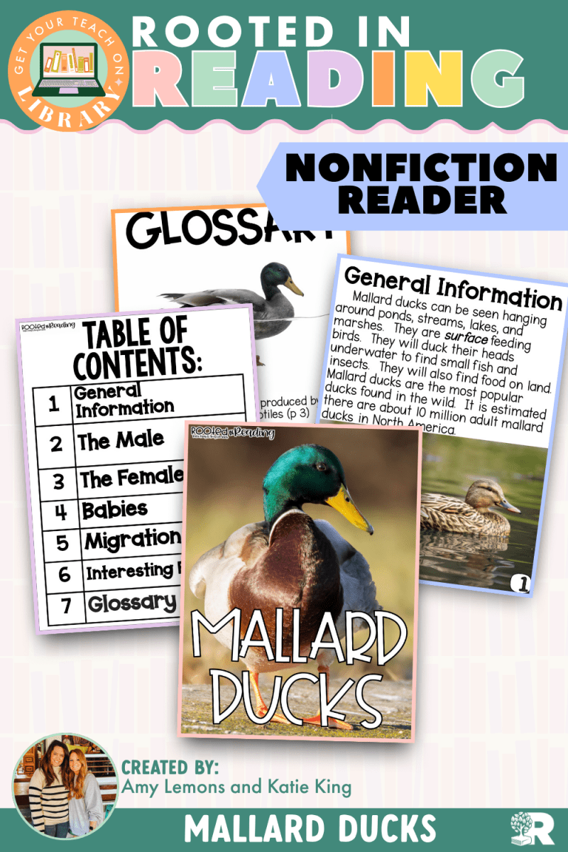 Rooted in Reading Nonfiction Reader: Mallard Ducks - Shop GYTO - Get Your Teach On