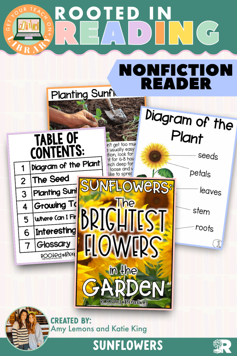 Rooted in Reading Nonfiction Reader: Sunflowers the Brightest Flowers in the Garden - Shop GYTO - Get Your Teach On
