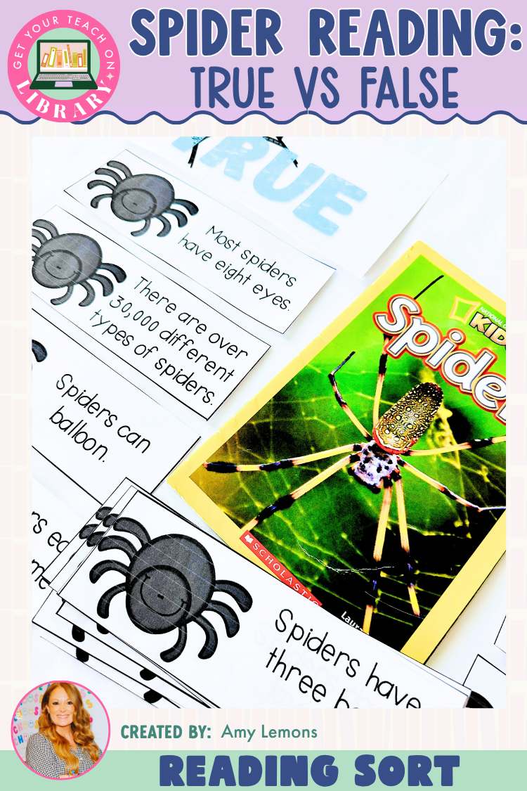 Spider True or False Reading Sort