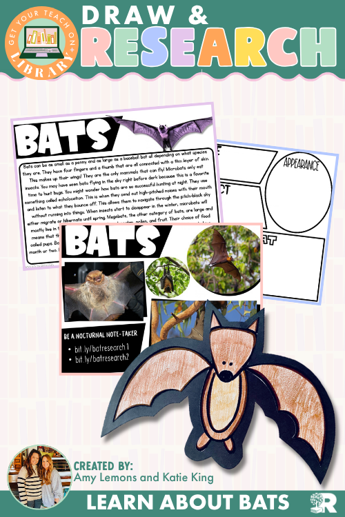 Bat Research & Directed Drawing Activity | Nocturnal Animals