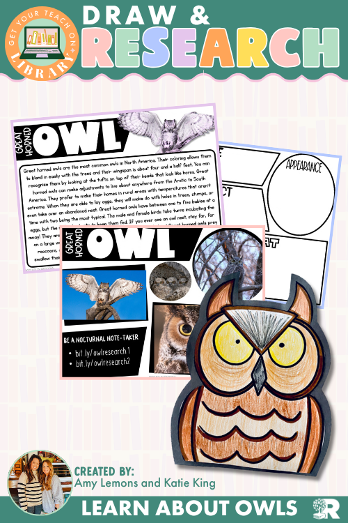 Owl Research & Directed Drawing Activity | Great Horned Owl