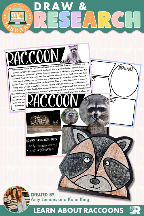 Raccoon Research & Directed Drawing Activity | Nocturnal Animals