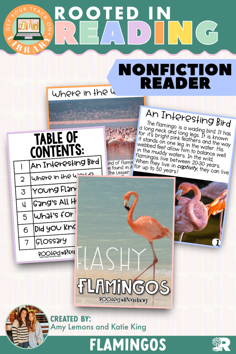 Rooted in Reading Nonfiction Reader: Flashy Flamingos - Shop GYTO - Get Your Teach On