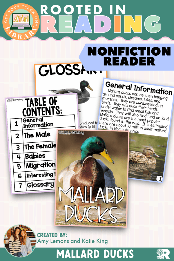 Rooted in Reading Nonfiction Reader: Mallard Ducks – printable reading classroom resource by Get Your Teach On