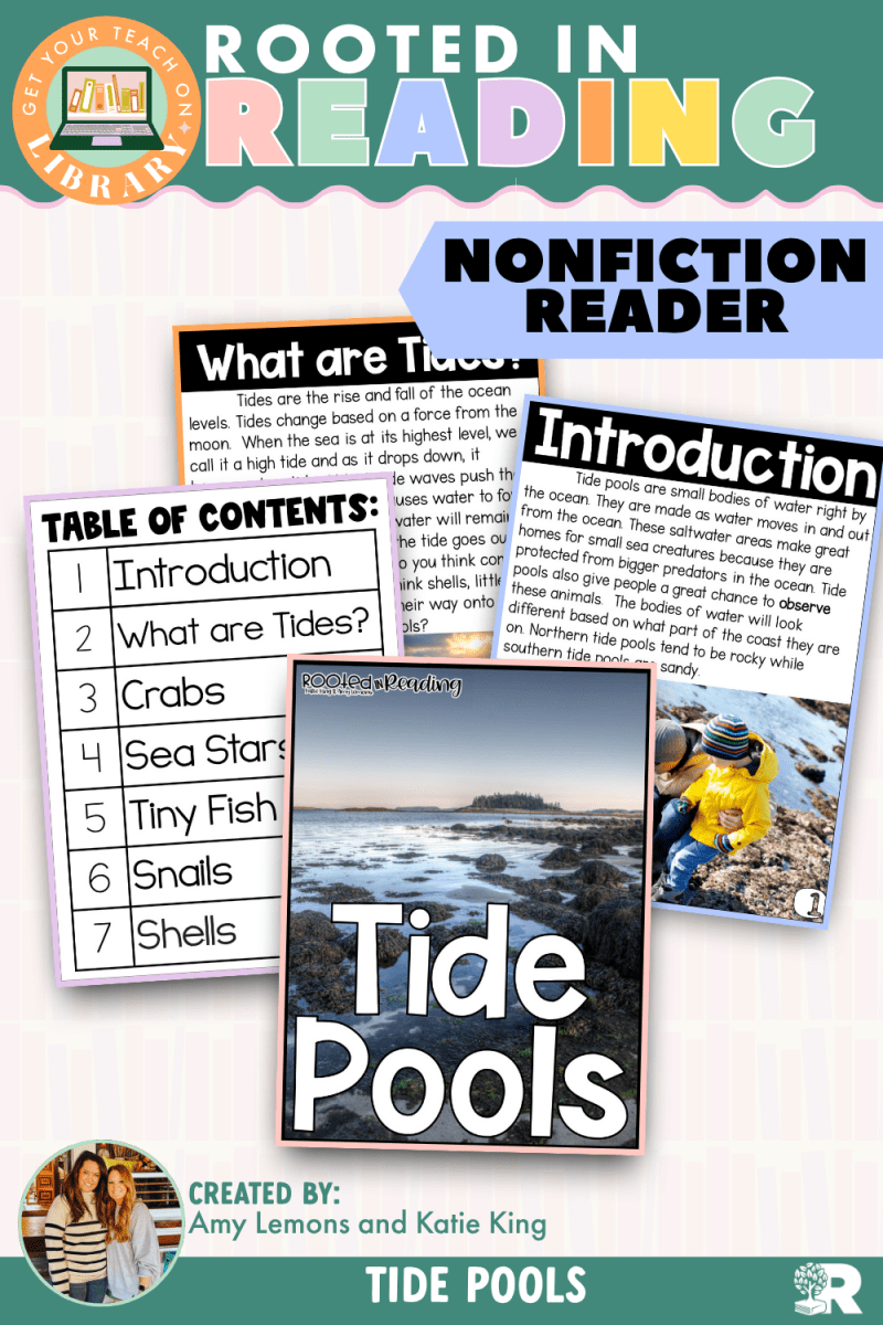 Rooted in Reading Nonfiction Reader: Tide Pools - Shop GYTO - Get Your Teach On