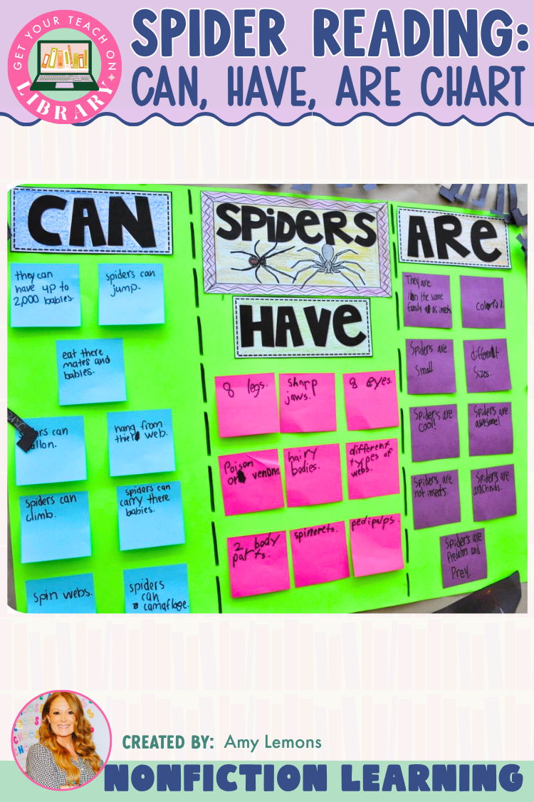 Spiders Can, Have, Are Anchor Chart